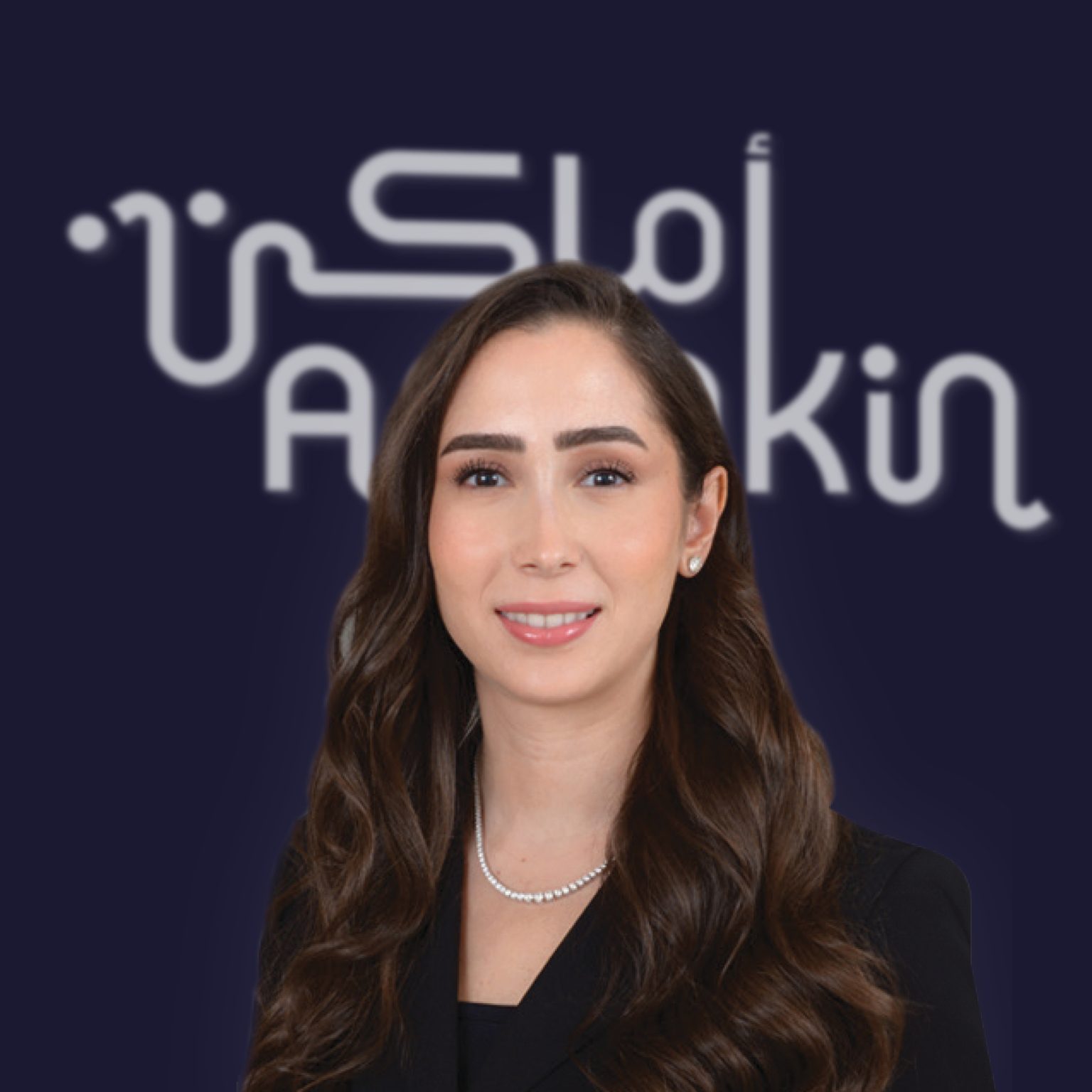 board-of-directors-amakin